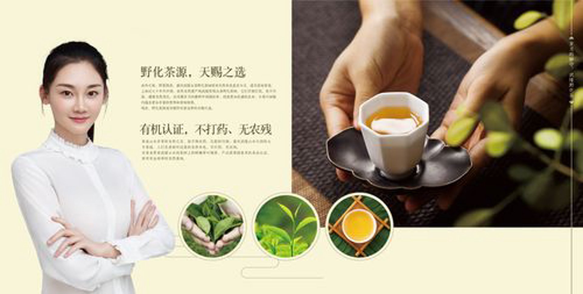 一香源茶行