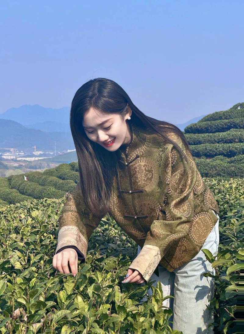 福泉茶都:品茗之国的魅力所在